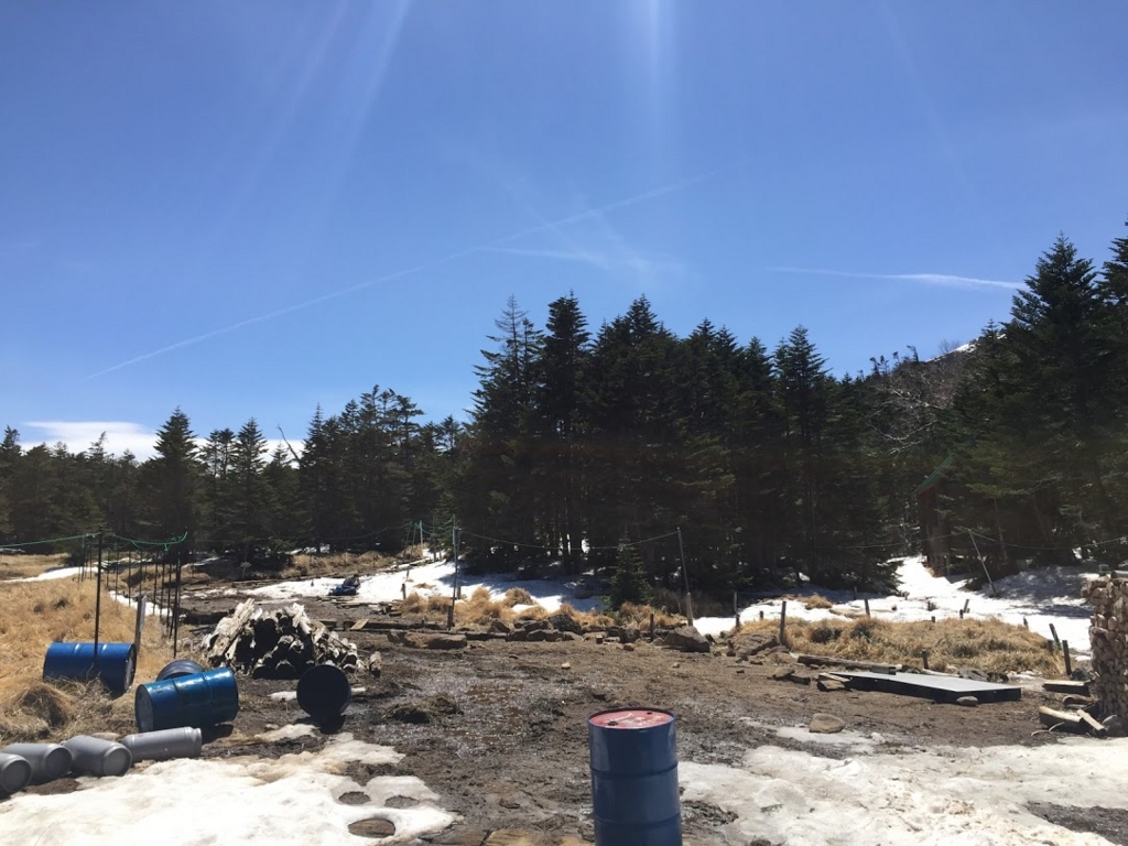 f:id:happydust:20170418233010j:plain