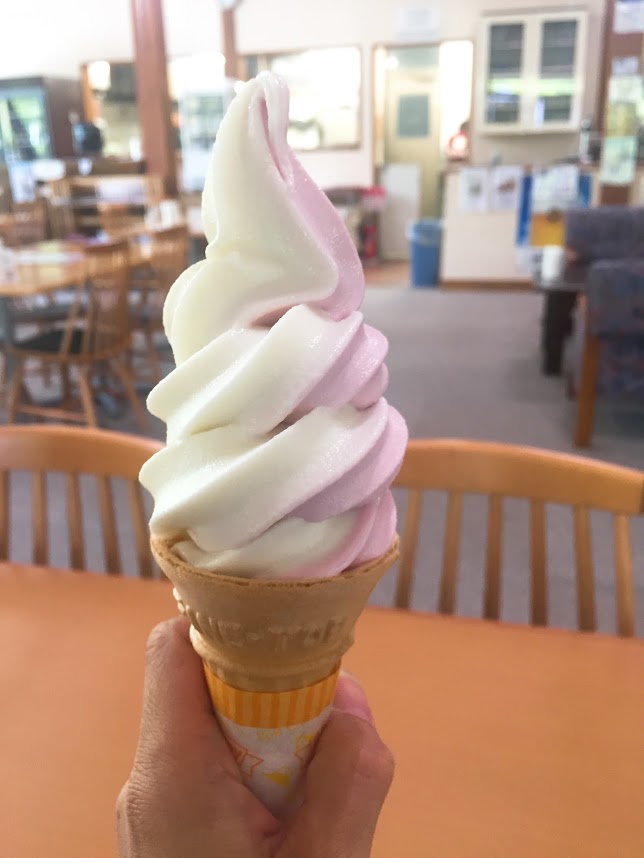 f:id:happydust:20170716123030j:plain