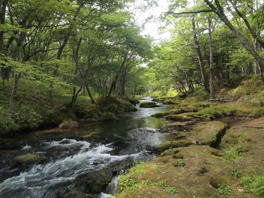 f:id:happydust:20170806022934j:plain