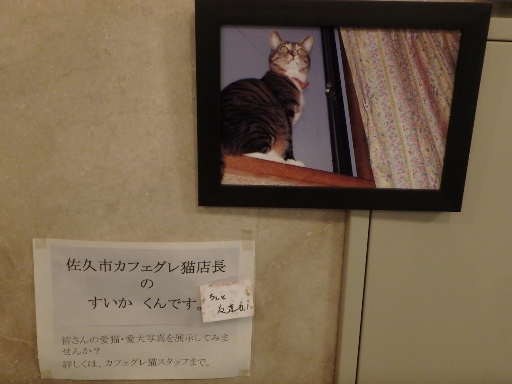 f:id:happydust:20170820011859j:plain