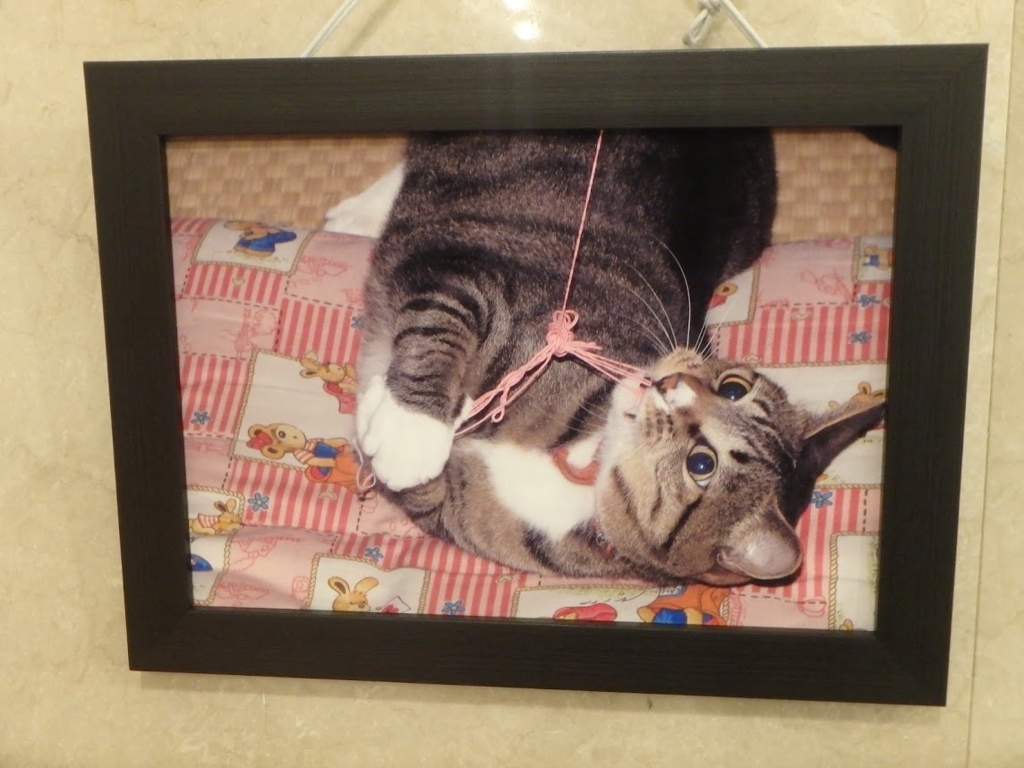 f:id:happydust:20170820011916j:plain