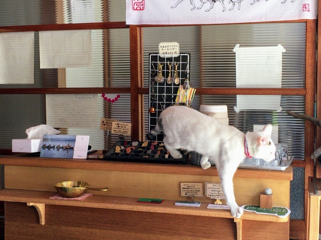 山の休憩所かゑる 雲取山鴨沢登山口からすぐの古民家カフェでおしるこをいただき 猫と戯れる 温泉ブログ 山と温泉のきろく