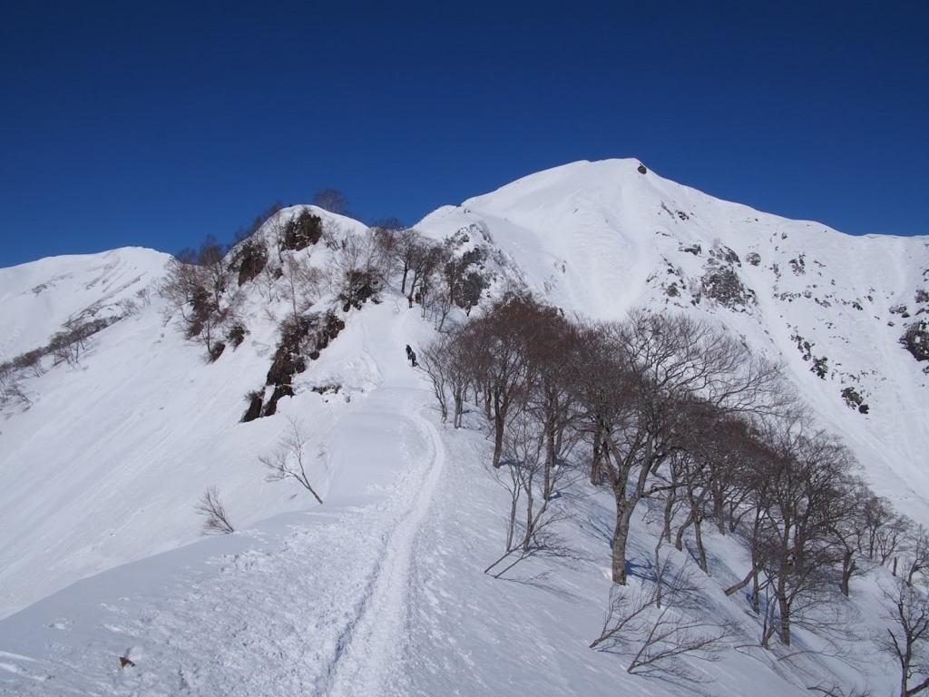 f:id:happydust:20180331160727j:plain