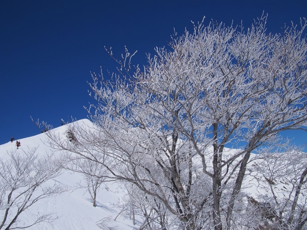 f:id:happydust:20180331160854j:plain