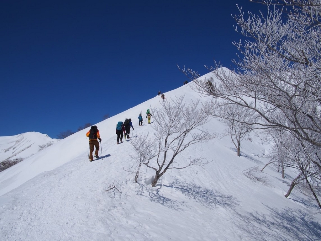 f:id:happydust:20180331160915j:plain