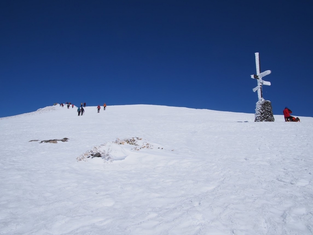 f:id:happydust:20180331161215j:plain