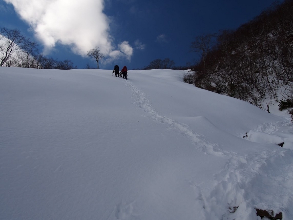 f:id:happydust:20180331215154j:plain