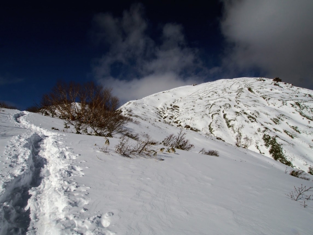 f:id:happydust:20180331215310j:plain