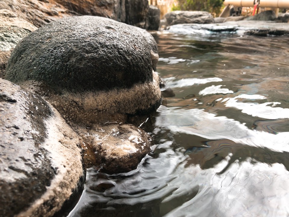 f:id:happydust:20180420074817j:plain