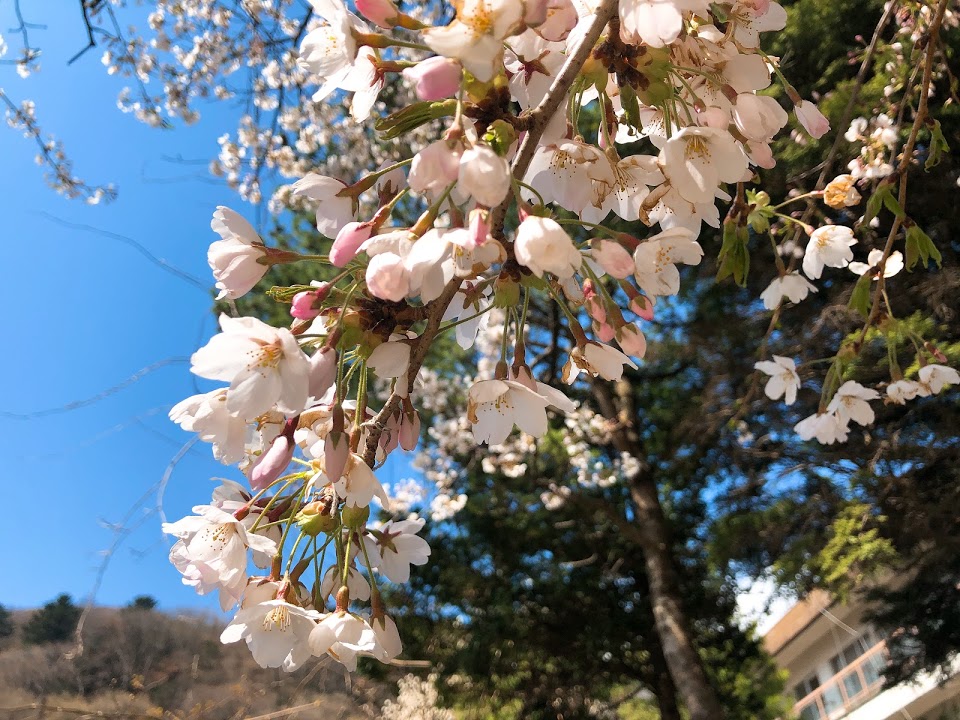 f:id:happydust:20180420172516j:plain