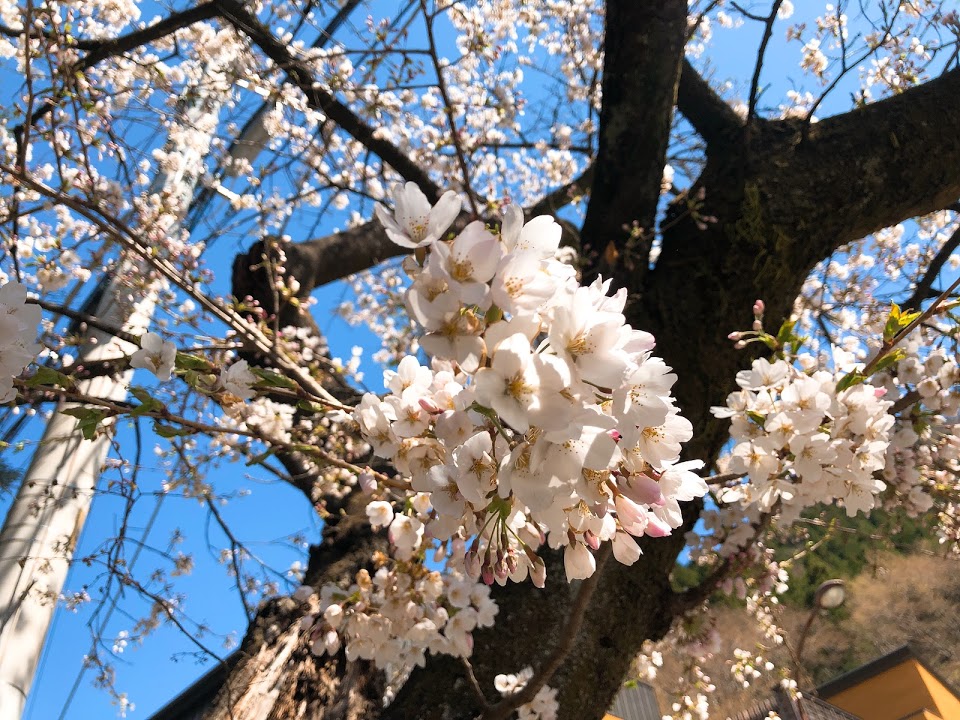 f:id:happydust:20180420172530j:plain