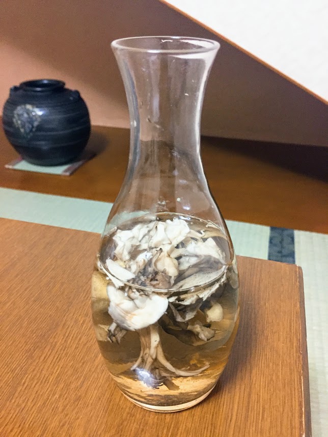 f:id:happydust:20180510021919j:plain