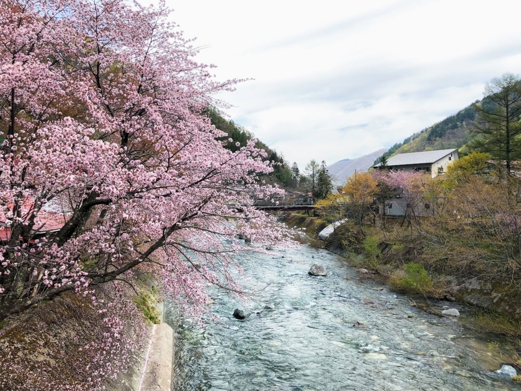 f:id:happydust:20180517144521j:plain f:id:happydust:20180517144521j:plain