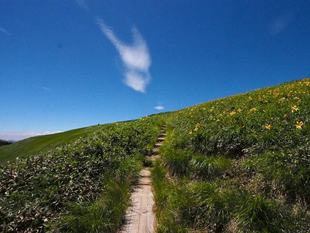 f:id:happydust:20180815035459j:plain f:id:happydust:20180815035459j:plain