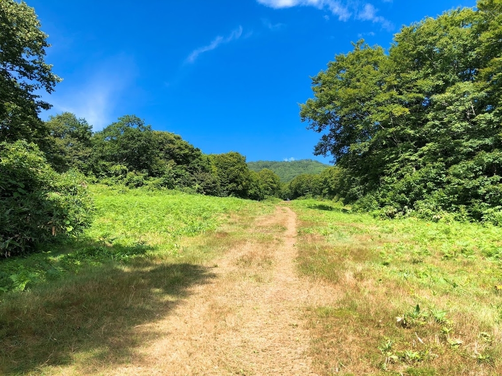 f:id:happydust:20180901155828j:plain f:id:happydust:20180901155828j:plain