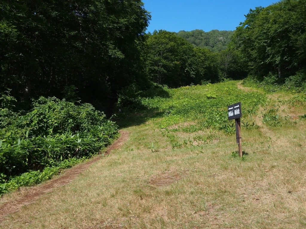 f:id:happydust:20180901155851j:plain f:id:happydust:20180901155851j:plain