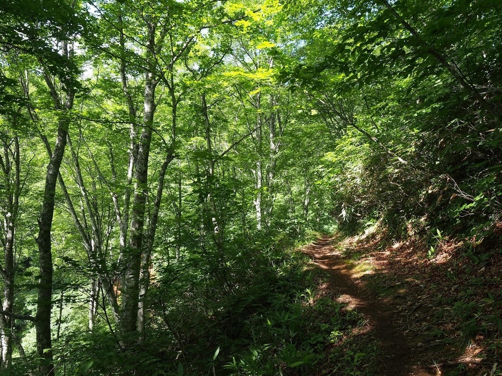 f:id:happydust:20180901160026j:plain f:id:happydust:20180901160026j:plain