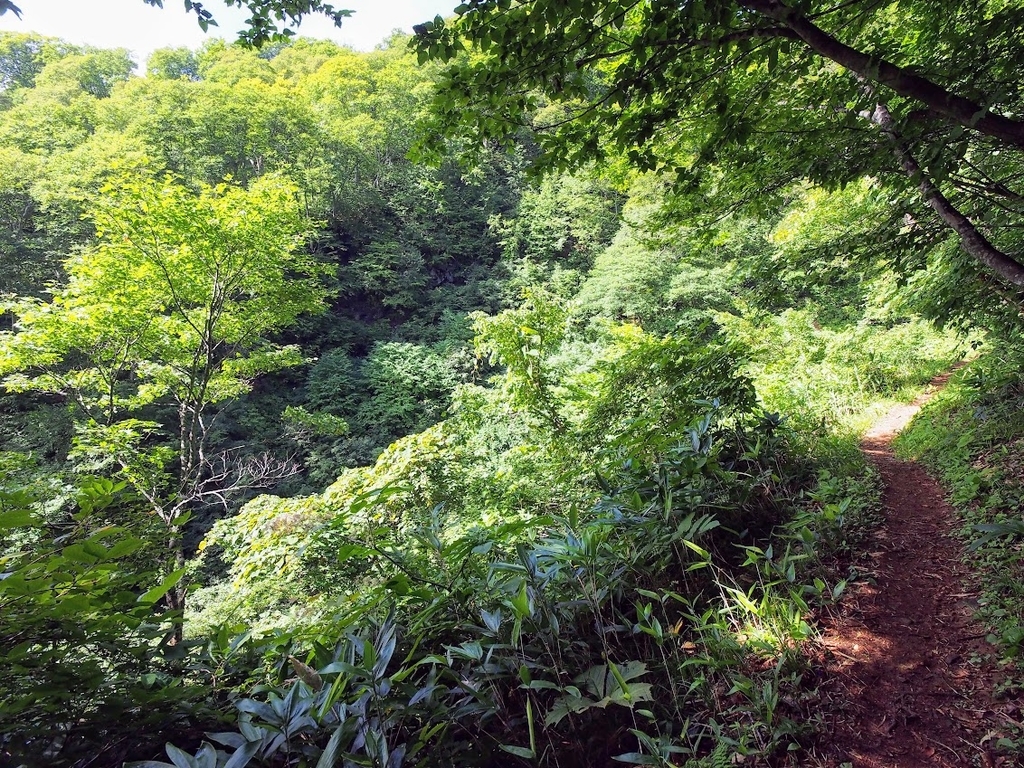 f:id:happydust:20180901160044j:plain f:id:happydust:20180901160044j:plain