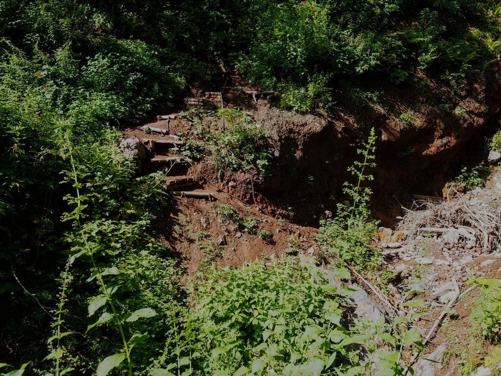 f:id:happydust:20180901160102j:plain f:id:happydust:20180901160102j:plain