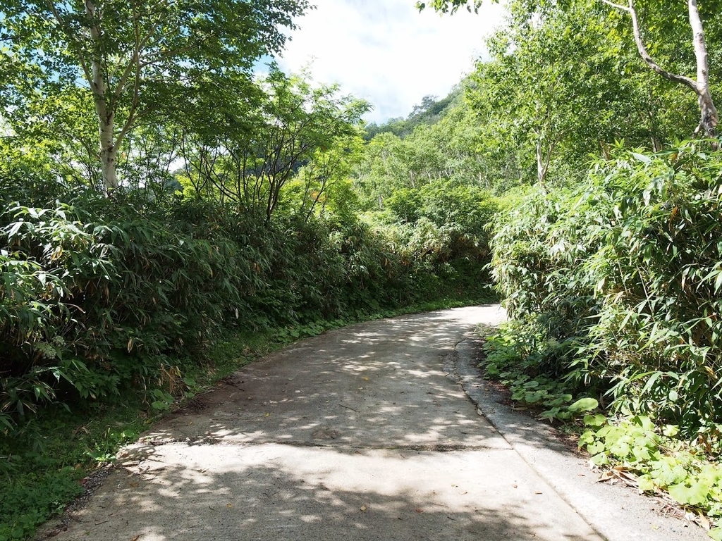 f:id:happydust:20180901160200j:plain f:id:happydust:20180901160200j:plain