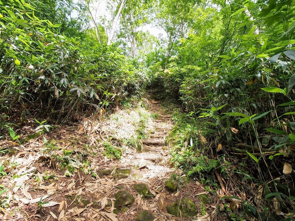 f:id:happydust:20180901160617j:plain f:id:happydust:20180901160617j:plain