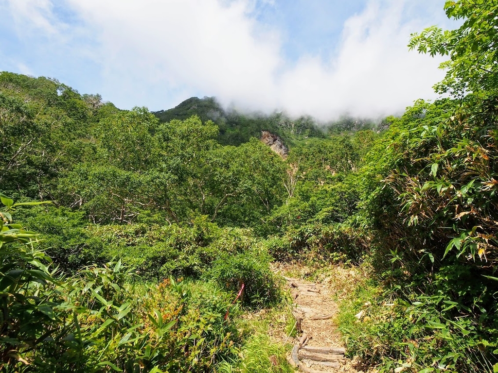 f:id:happydust:20180901160636j:plain f:id:happydust:20180901160636j:plain