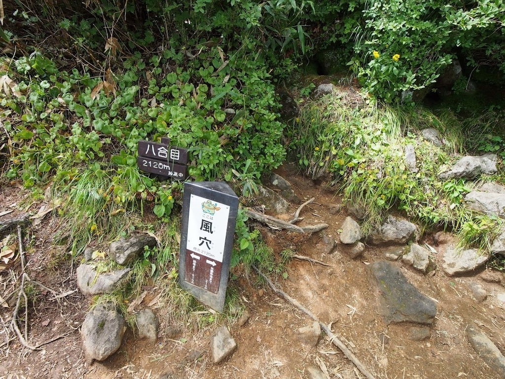 f:id:happydust:20180901160735j:plain f:id:happydust:20180901160735j:plain