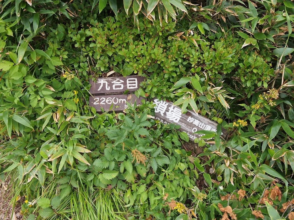 f:id:happydust:20180901160808j:plain f:id:happydust:20180901160808j:plain