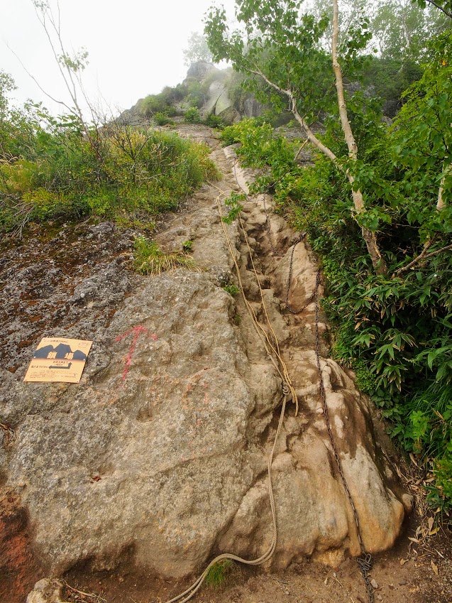 f:id:happydust:20180901160828j:plain f:id:happydust:20180901160828j:plain