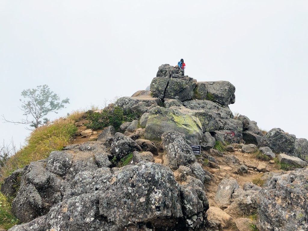 f:id:happydust:20180901161036j:plain f:id:happydust:20180901161036j:plain