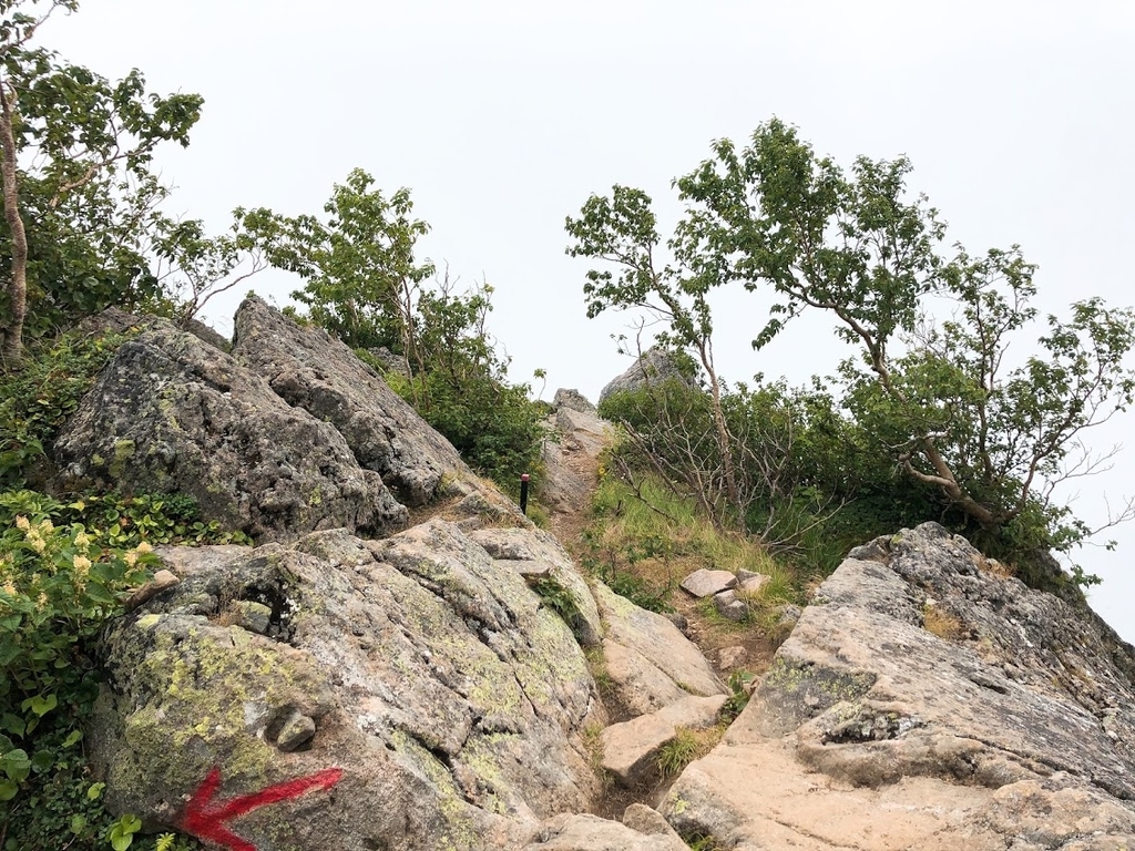 f:id:happydust:20180901161248j:plain f:id:happydust:20180901161248j:plain