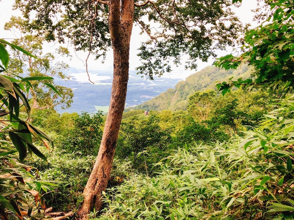 f:id:happydust:20180901161323j:plain f:id:happydust:20180901161323j:plain