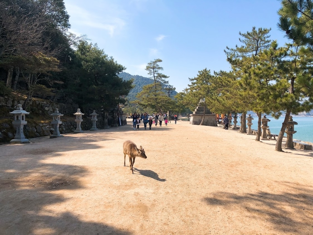 f:id:happydust:20181209053145j:plain