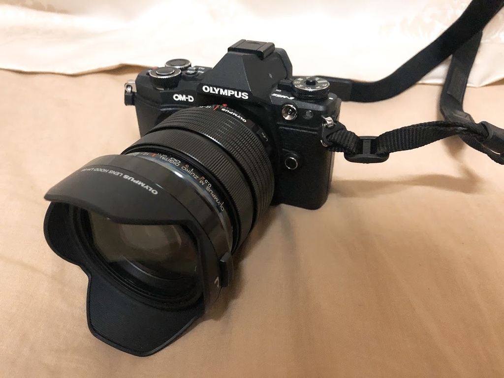 f:id:happydust:20181231204111j:plain