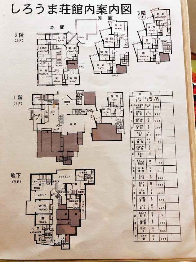 f:id:happydust:20190221021303j:plain