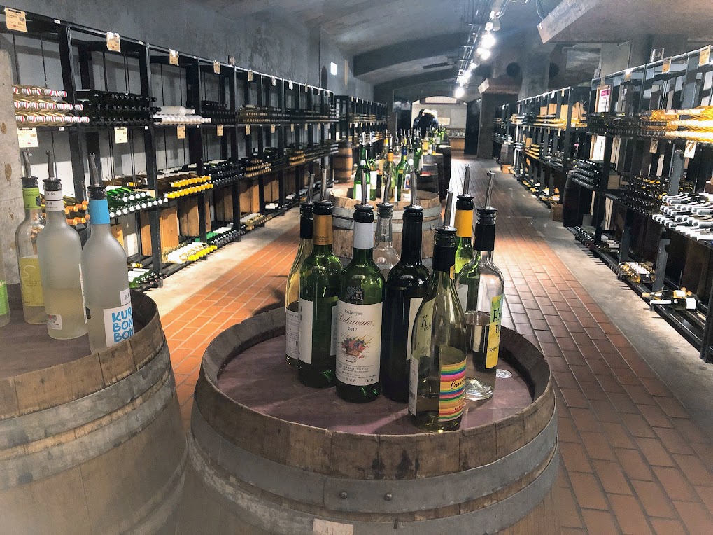 甲州市勝沼ぶどうの丘 地下ワインカーヴで試飲しまくり 展望レストランでランチの贅沢な休日 温泉ブログ 山と温泉のきろく