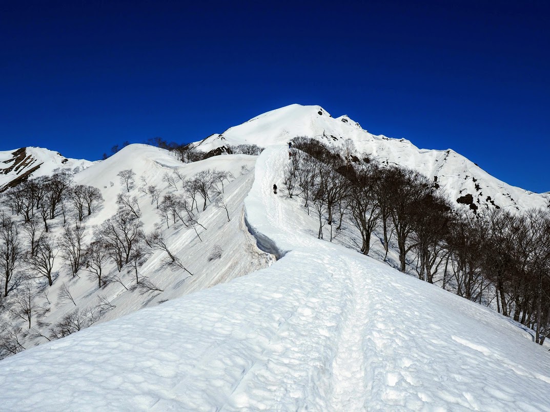 f:id:happydust:20190703025915j:plain