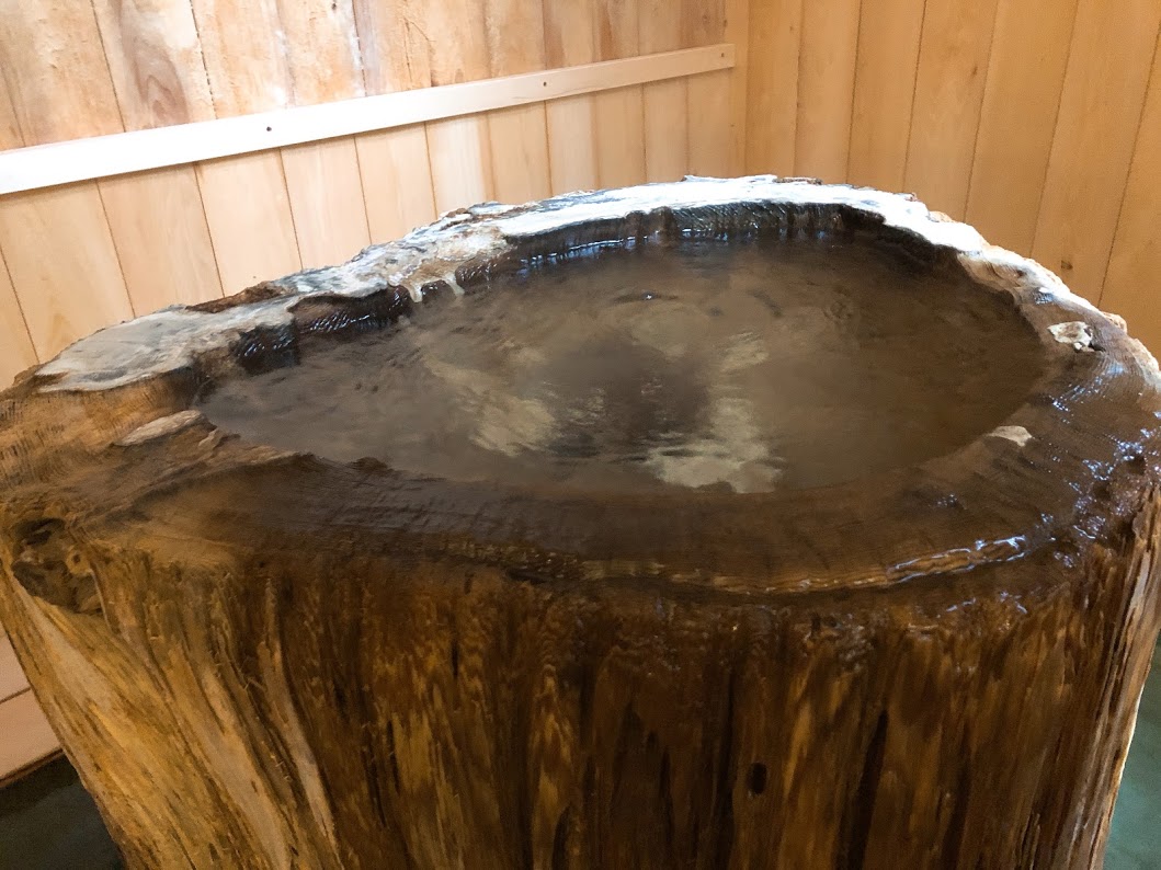 f:id:happydust:20190703203349j:plain