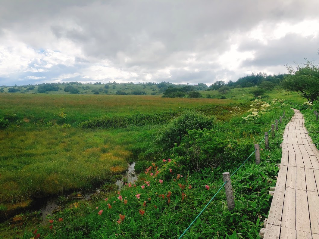f:id:happydust:20190827214853j:plain