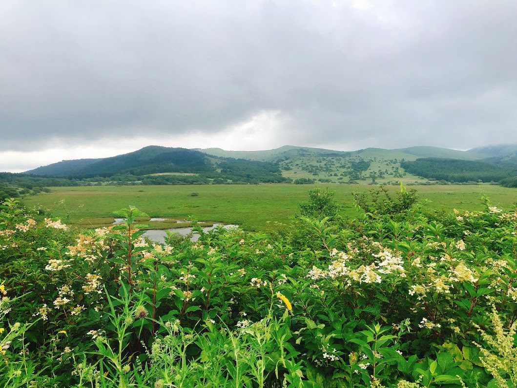 f:id:happydust:20190827215104j:plain