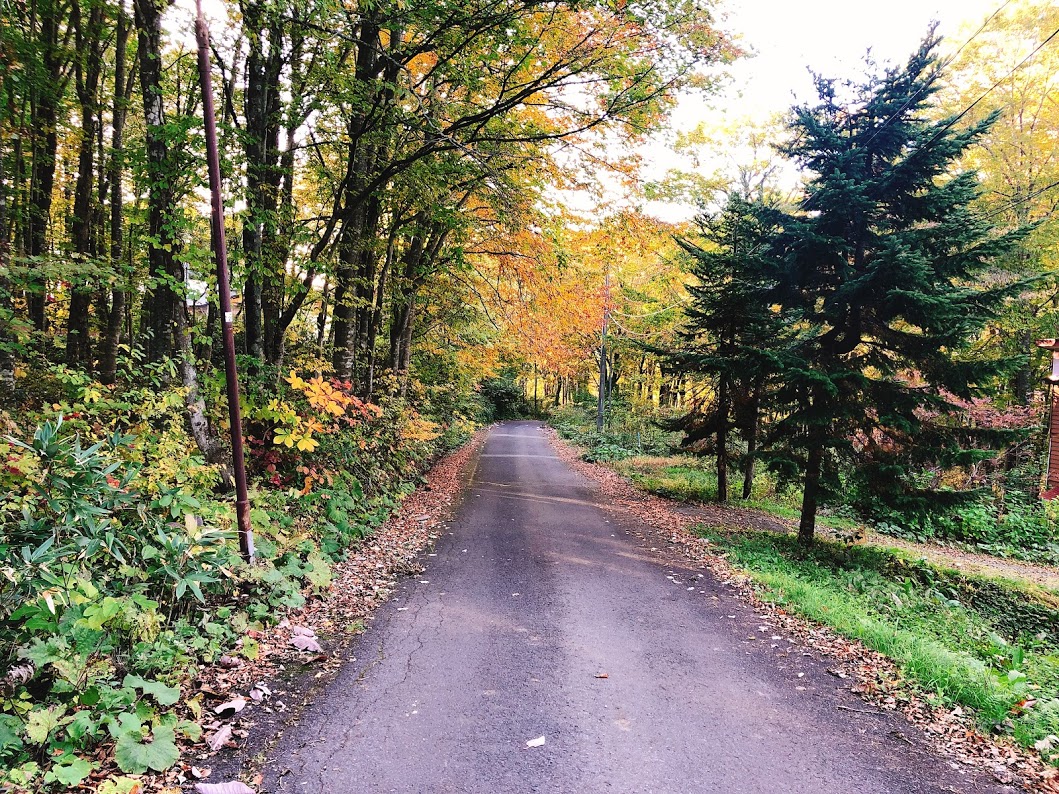 f:id:happydust:20191009225050j:plain