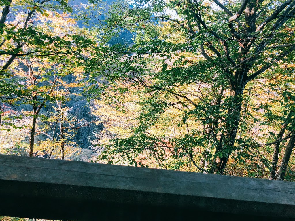 f:id:happydust:20191009232513j:plain