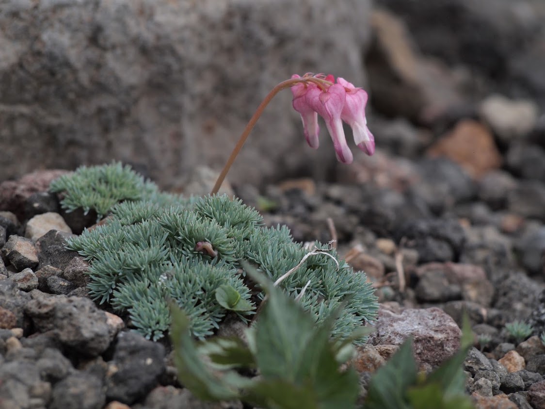 f:id:happydust:20191015021616j:plain