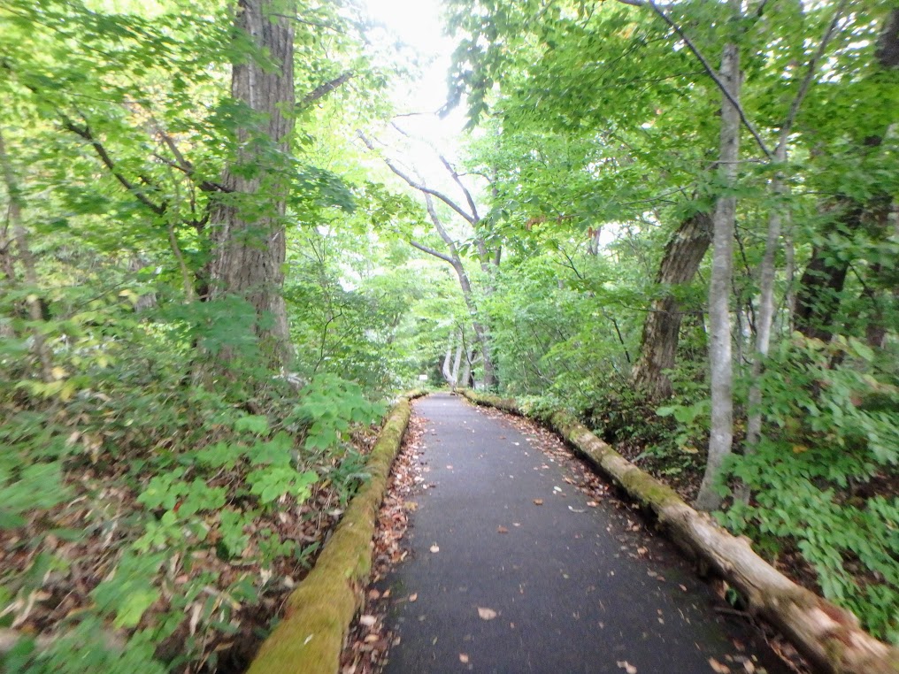 f:id:happydust:20191023011052j:plain f:id:happydust:20191023011052j:plain