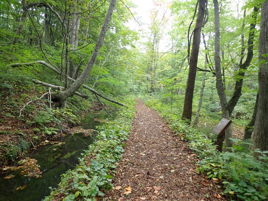 f:id:happydust:20191023011103j:plain f:id:happydust:20191023011103j:plain