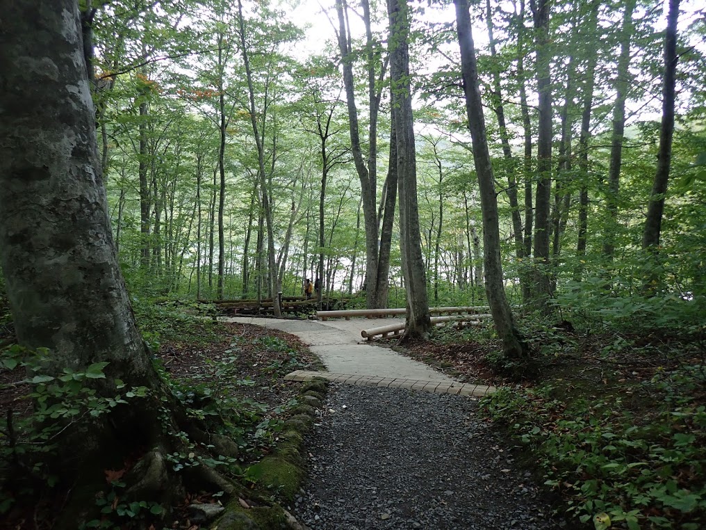 f:id:happydust:20191023011134j:plain f:id:happydust:20191023011134j:plain