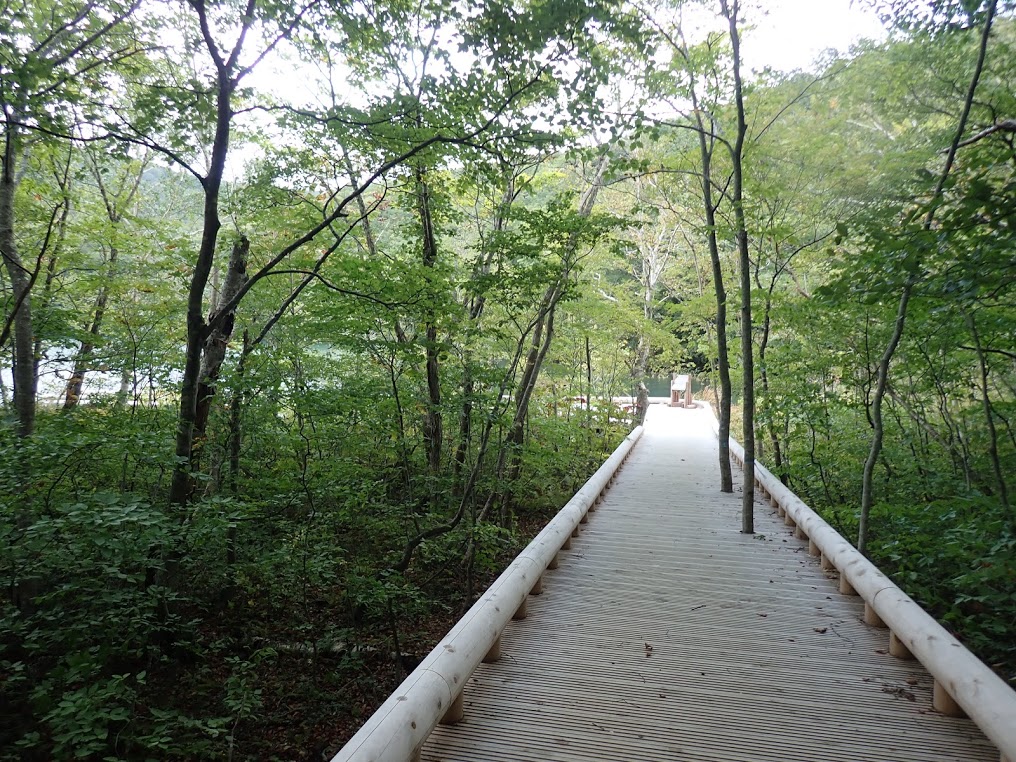 f:id:happydust:20191023011137j:plain f:id:happydust:20191023011137j:plain