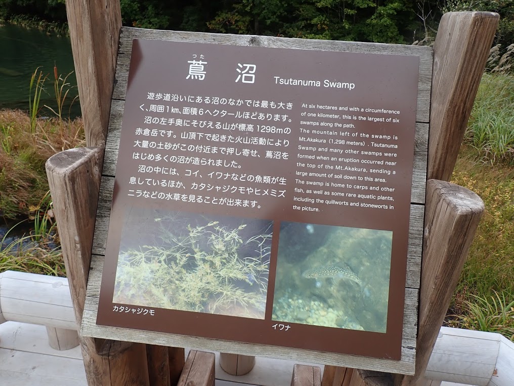 f:id:happydust:20191023011147j:plain f:id:happydust:20191023011147j:plain