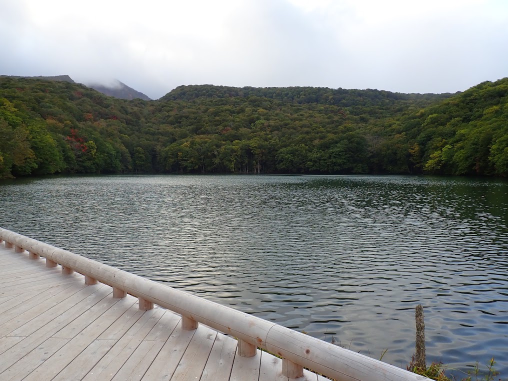 f:id:happydust:20191023011202j:plain f:id:happydust:20191023011202j:plain