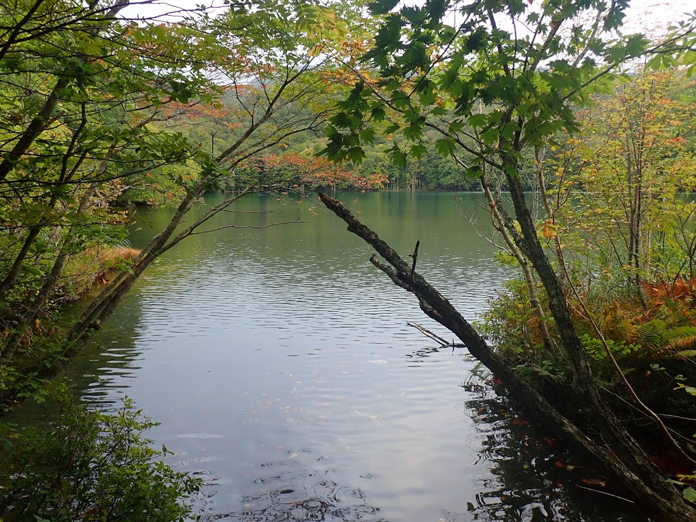 f:id:happydust:20191023011218j:plain f:id:happydust:20191023011218j:plain